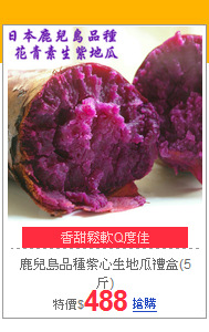 鹿兒島品種
紫心生地瓜禮盒(5斤)
