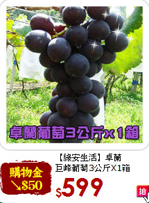 【綠安生活】卓蘭<br>巨峰葡萄3公斤X1箱