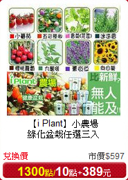 【i Plant】小農場<br/>
綠化盆栽任選三入