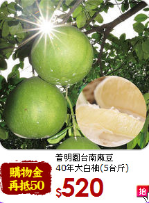 普明園台南麻豆<br>40年大白柚(5台斤)