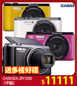 CASIOEX-ZR1200
 (平輸)