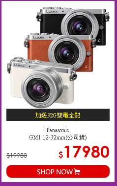 Panasonic<BR>GM1 12-32mm(公司貨)