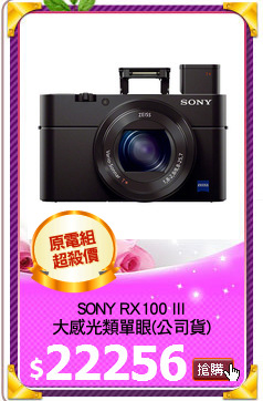 SONY RX100 III
大感光類單眼(公司貨)