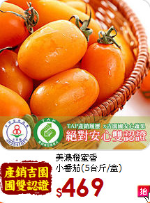 美濃橙蜜香<br>小番茄(5台斤/盒)