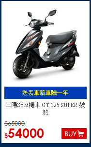 三陽SYM機車 
GT 125 SUPER 鼓煞