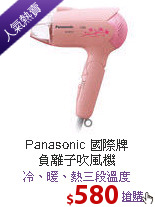 Panasonic 國際牌<br>負離子吹風機