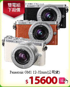 Panasonic GM1
12-32mm(公司貨)