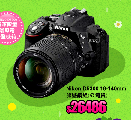 Nikon D5300 18-140mm旅遊鏡組(公司貨)