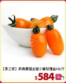 【果之家】美農
嚴選金瑩小蕃茄禮盒4台斤