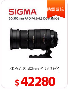 SIGMA 50-500mm F4.5-6.3  (公)