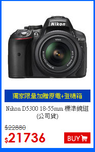 Nikon D5300 18-55mm 標準鏡組(公司貨)