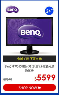 BenQ GW2450HM-FL 
24型VA低藍光液晶螢幕
