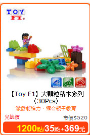 【Toy F1】大顆粒積木系列（30Pcs）