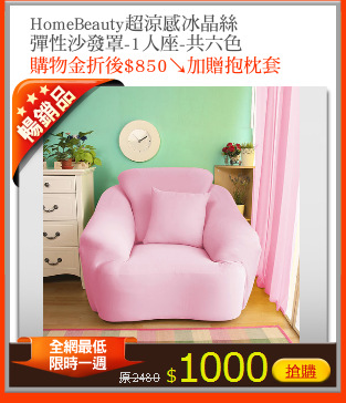 HomeBeauty超涼感冰晶絲
彈性沙發罩-1人座-共六色