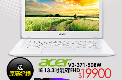 Acer V3-371