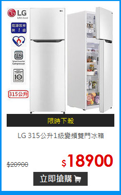 LG 315公升1級變頻雙門冰箱