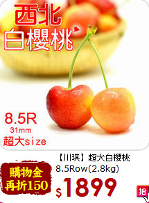 【川琪】超大白櫻桃<br>8.5Row(2.8kg)