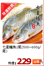 七星鱸魚2尾(500~600g/尾)