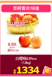 白櫻桃8.5Row
(1.8kg)