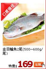 金目鱸魚2尾(500~600g/尾)