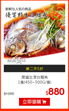 嚴選生凍白鯧魚<BR>1隻(450~500G/隻)
