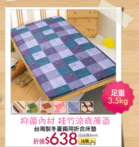 台灣製冬夏兩用折合床墊