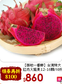 【築地一番鮮】台灣特大<br>紅肉火龍果12-16顆/10斤