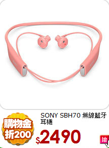 SONY SBH70
無線藍牙耳機