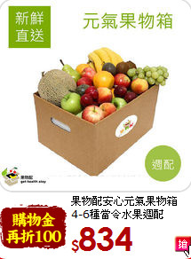 果物配安心元氣果物箱<br>4-6種當令水果週配