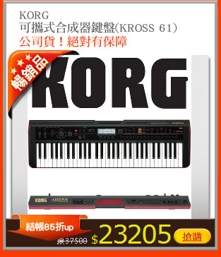 KORG
可攜式合成器鍵盤(KROSS 61)