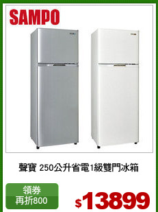聲寶 250公升省電1級雙門冰箱