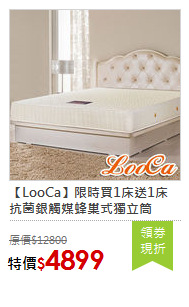 【LooCa】限時買1床送1床<BR>
抗菌銀觸媒蜂巢式獨立筒