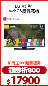 LG 43 吋 
webOS液晶電視
