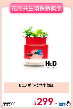 H&D 迷你植栽小魚缸