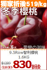 9.5Row智利櫻桃<br>1.6KG