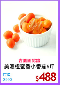 美濃橙蜜香小番茄5斤