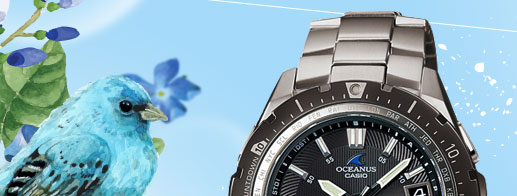 CASIO OCEANUS優雅生活紳士風采指針電波腕錶