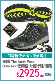 美國 The North Face
Gore-Tex 低筒登山健行鞋/慢跑鞋