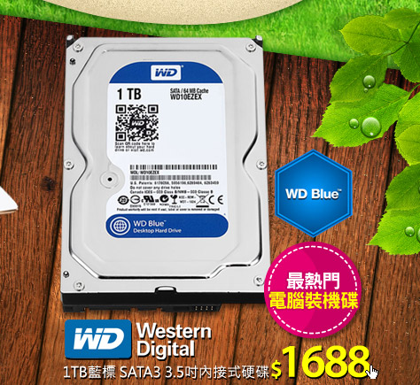 WD 1TB藍標 3.5吋內接式硬碟