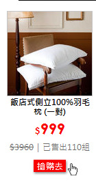 飯店式側立100%羽毛枕 (一對)