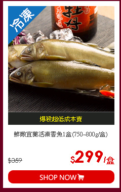 鮮嫩宜蘭活凍香魚1盒(750~800g/盒)