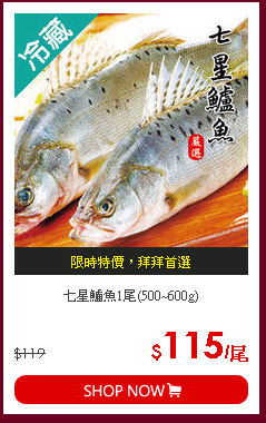 七星鱸魚1尾(500~600g)