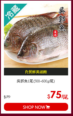 吳郭魚1尾(500~600g/尾)