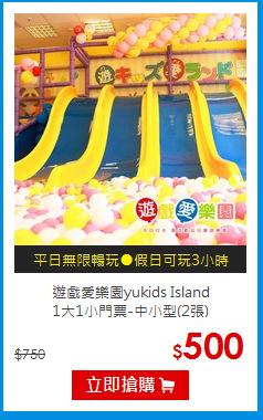 遊戲愛樂園yukids Island<br>1大1小門票-中小型(2張)