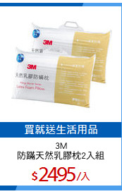 3M
防蹣天然乳膠枕2入組