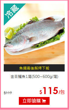 金目鱸魚1尾(500~600g/尾)