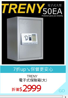 TRENY 
電子式保險箱(大)