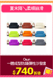 Osun
一體成型防蹣彈性沙發套