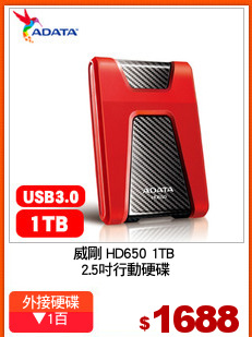 威剛 HD650 1TB 
2.5吋行動硬碟