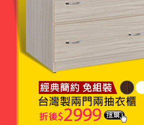 經典簡約 免組裝台灣製兩門兩抽衣櫃